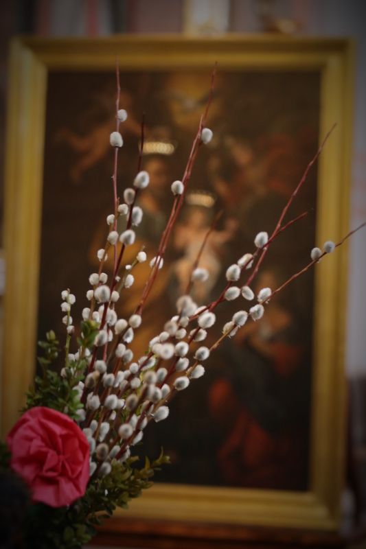 Niedziela Palmowa 2016